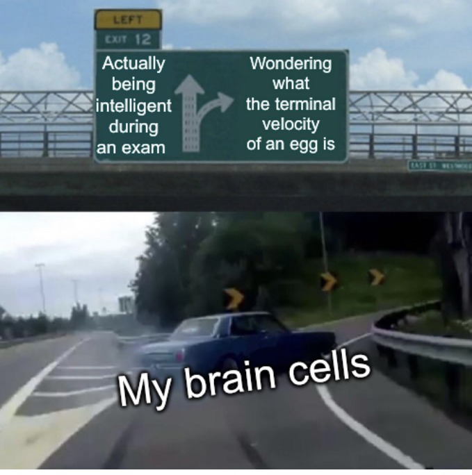 Brain cells - meme