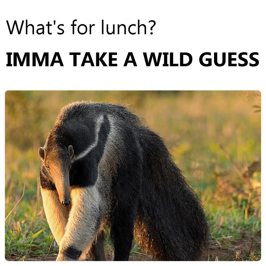 What's for lunch? - meme
