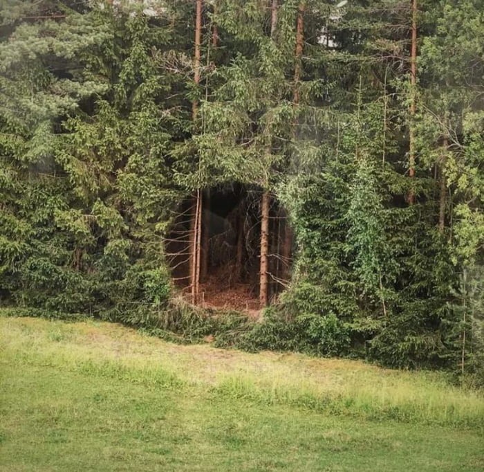 A real life portal in Southern-Estonia - meme