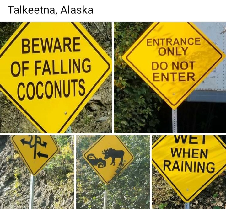 [Insert danger] - meme