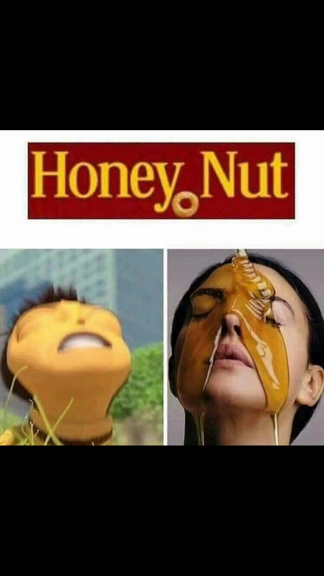 Honey Nut - meme