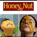 Honey Nut