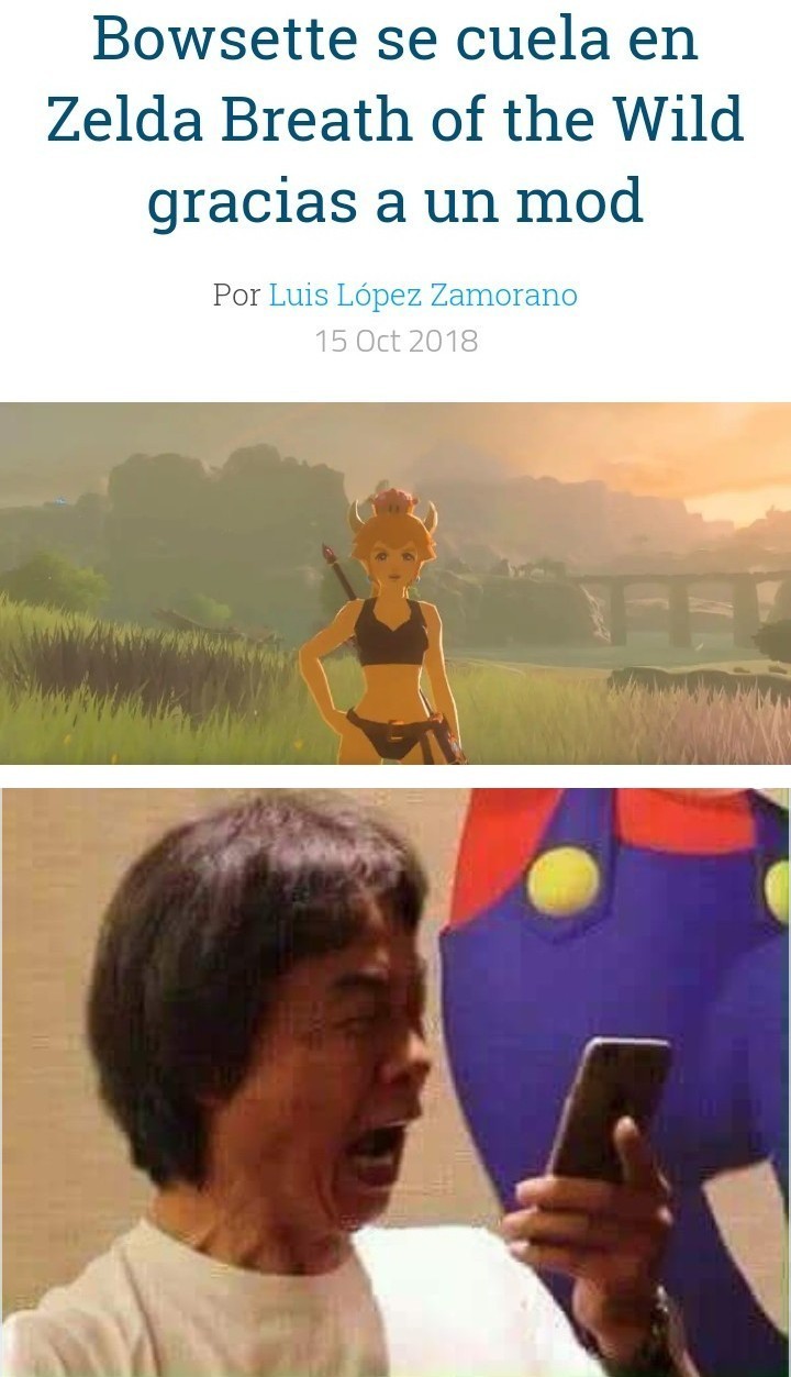 Pobre miyamoto - meme