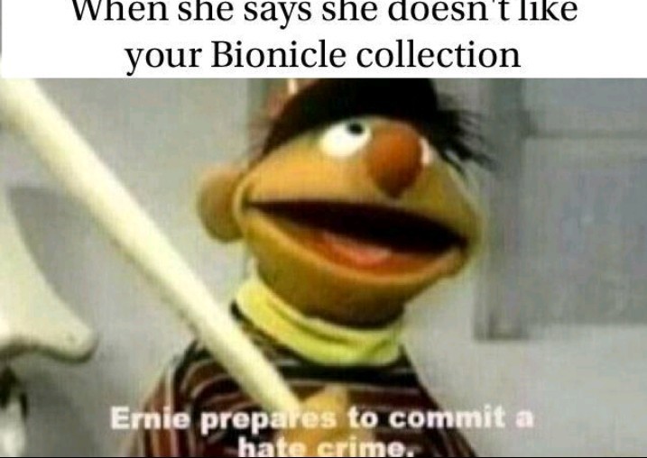 How dare you hate my bionicles! - meme