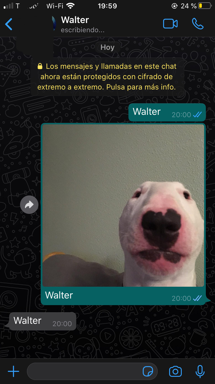 Walter - meme