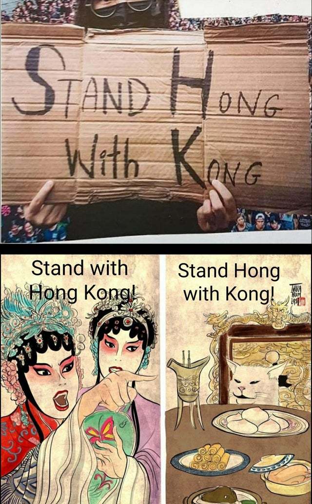 Stand Hong with Kong! - meme