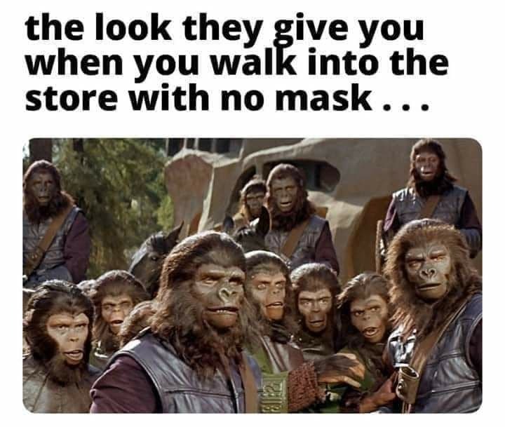 Planet of the Apes - meme