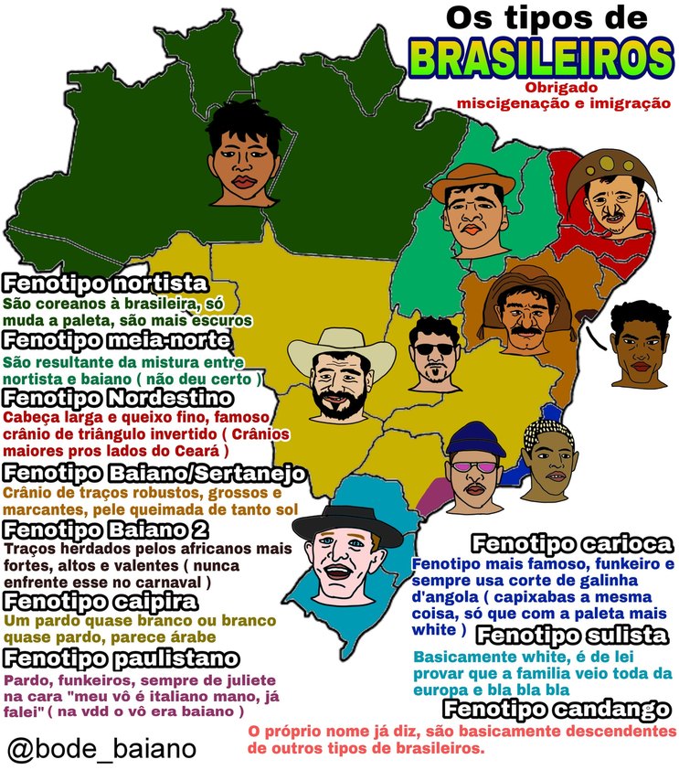 Os diferentes tipos de brasileiros - meme