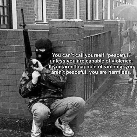Peace without power is just being harmless, not peaceful - meme