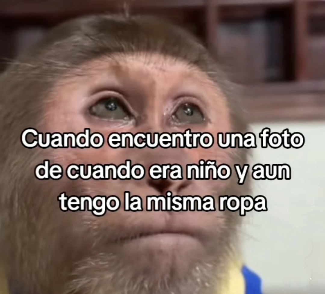 Encuentro una foto de cuando era niño... y sigo con la misma ropa - meme