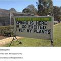 That's plantastic