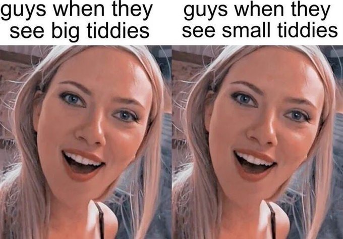 boob is boob - meme