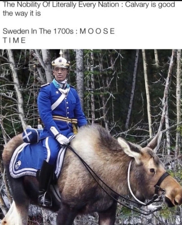 Moose Time - meme