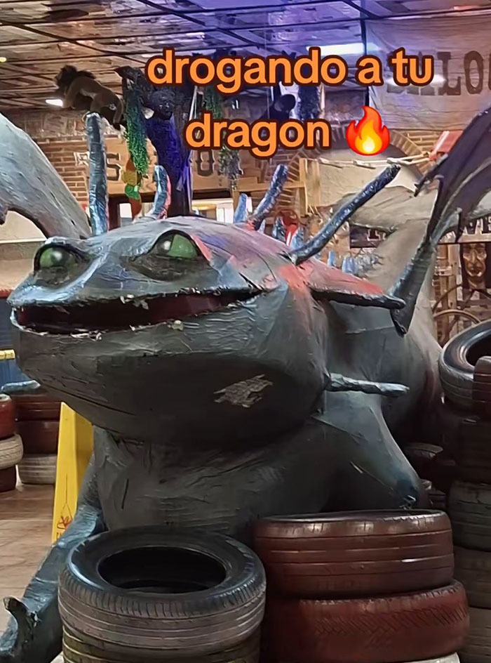 Droga pa'l dragón porque se viene el vuelo místico - meme