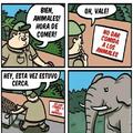 Pobre elefante