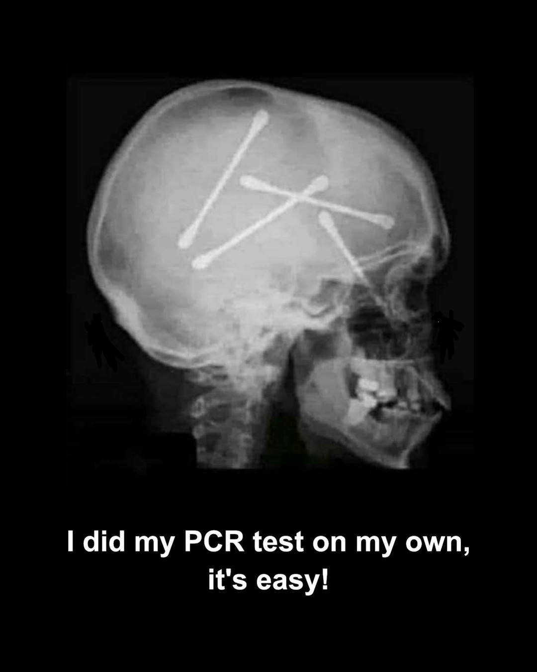 PCR Test - meme
