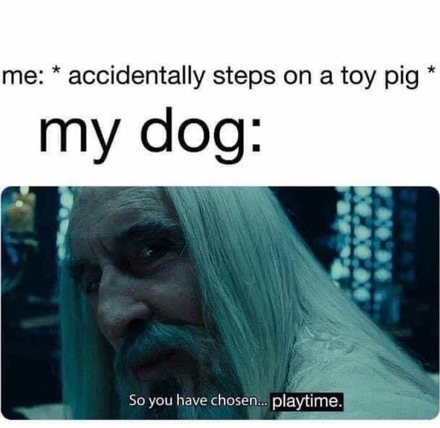 Ah yes, play time - meme