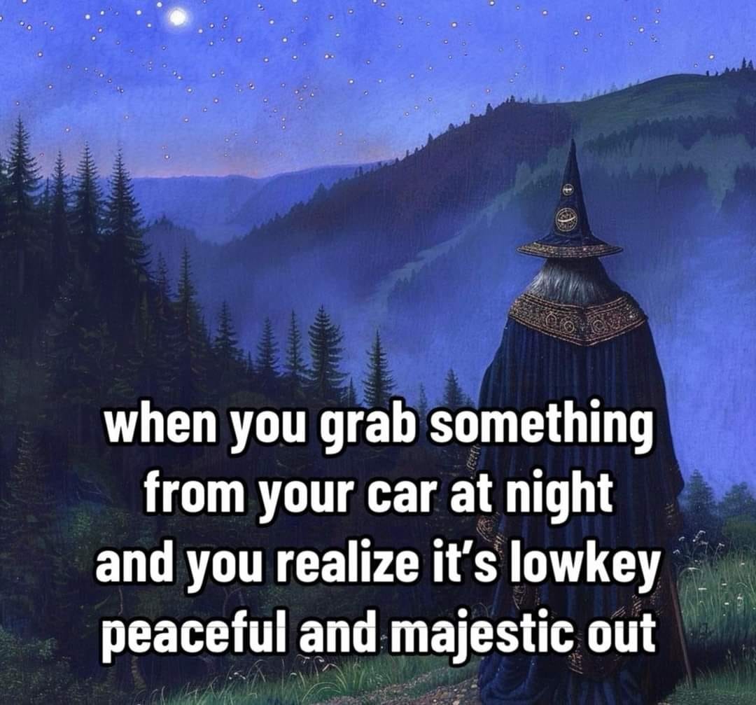 sometimes life is good - meme