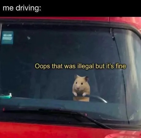 Driving meme