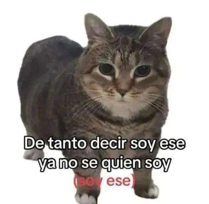 soy o no soy - meme