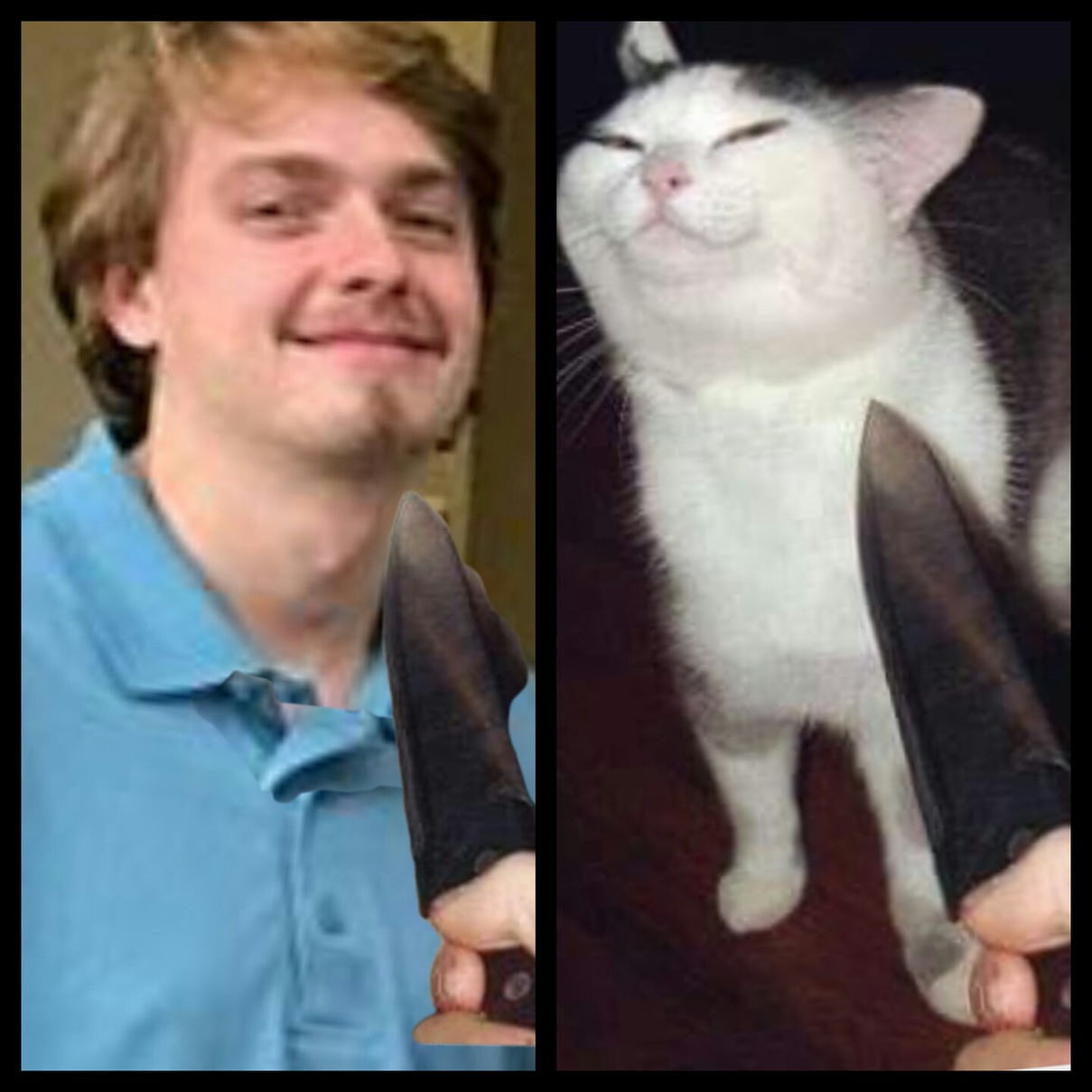 Real life knife cat guy - meme