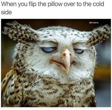 Cold AF - meme
