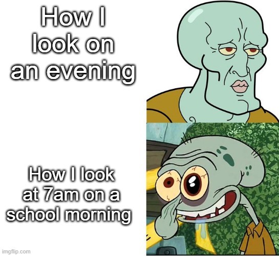 How I look during the day - meme