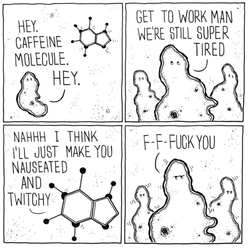 How caffeine works - meme