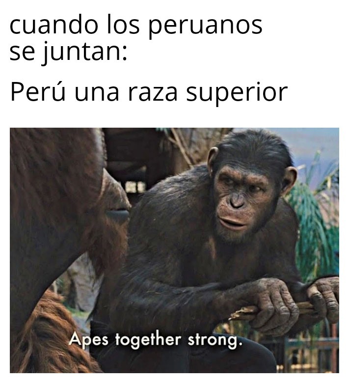 Orgullo peruano - meme