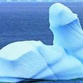 iceberga