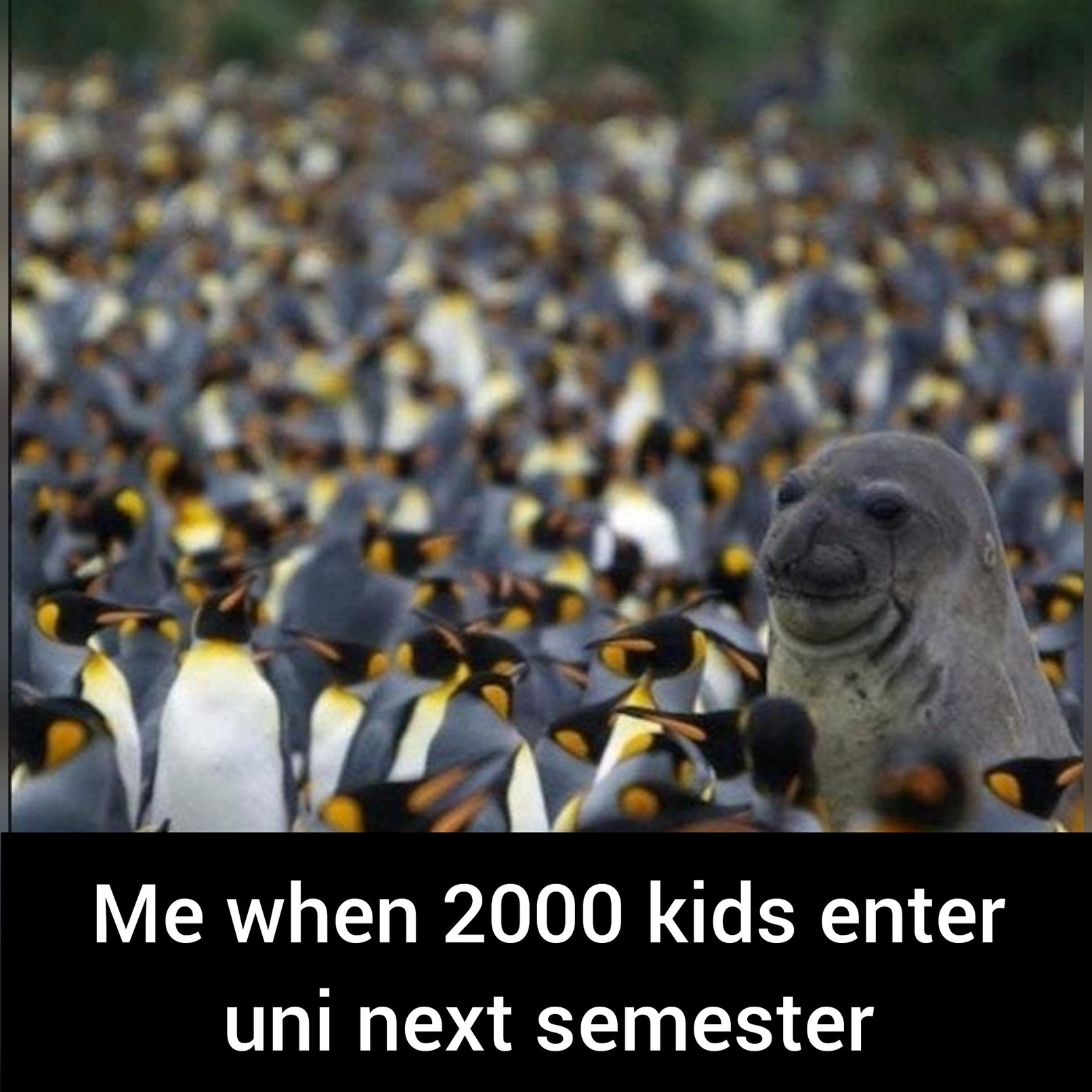 University will forever change - meme