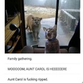 Aunt Carol ripped af 