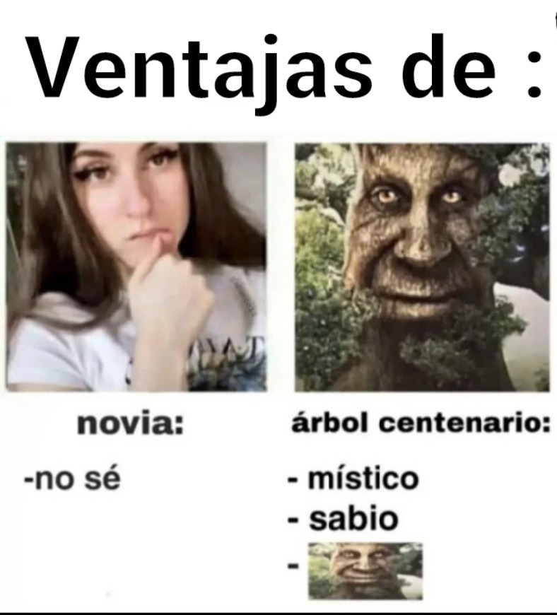 Meme para que por fín no me tiren hate en los comentarios
