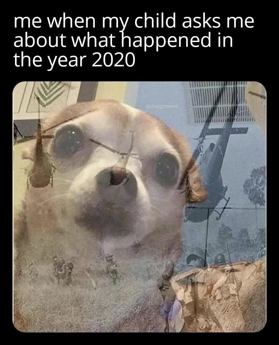 Explaining 2020 to kids: impossible mode - meme