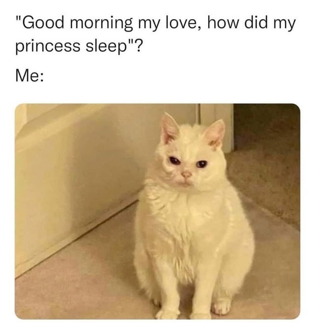 When they say good morning princess and you’ve seen demons in your dreams - meme