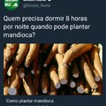 Plantar mandioca ( ͡° ͜ʖ ͡°)