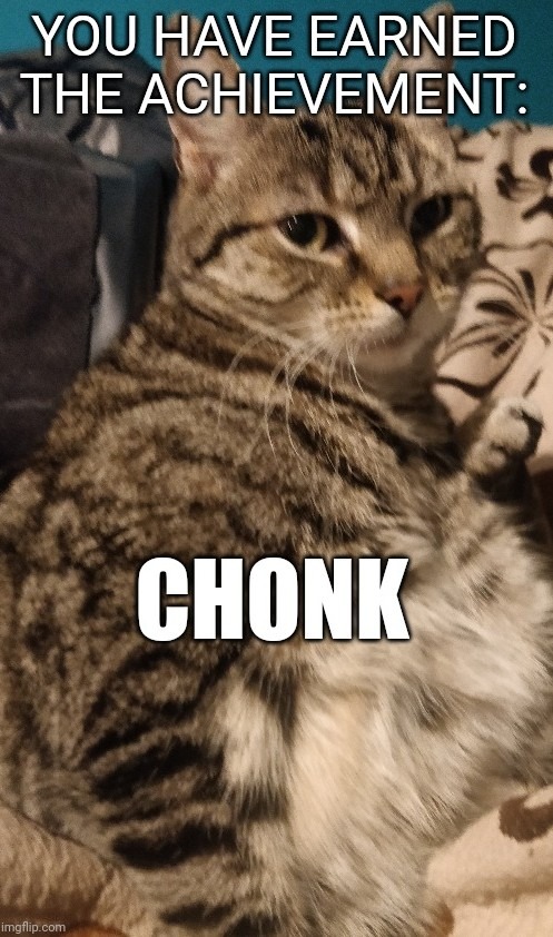 Chonk noises - meme