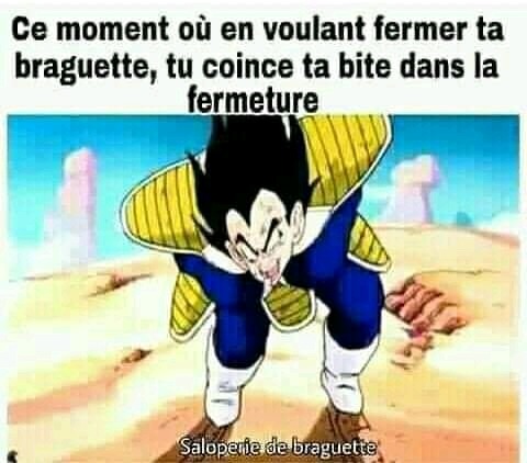 Foutue braguette - meme