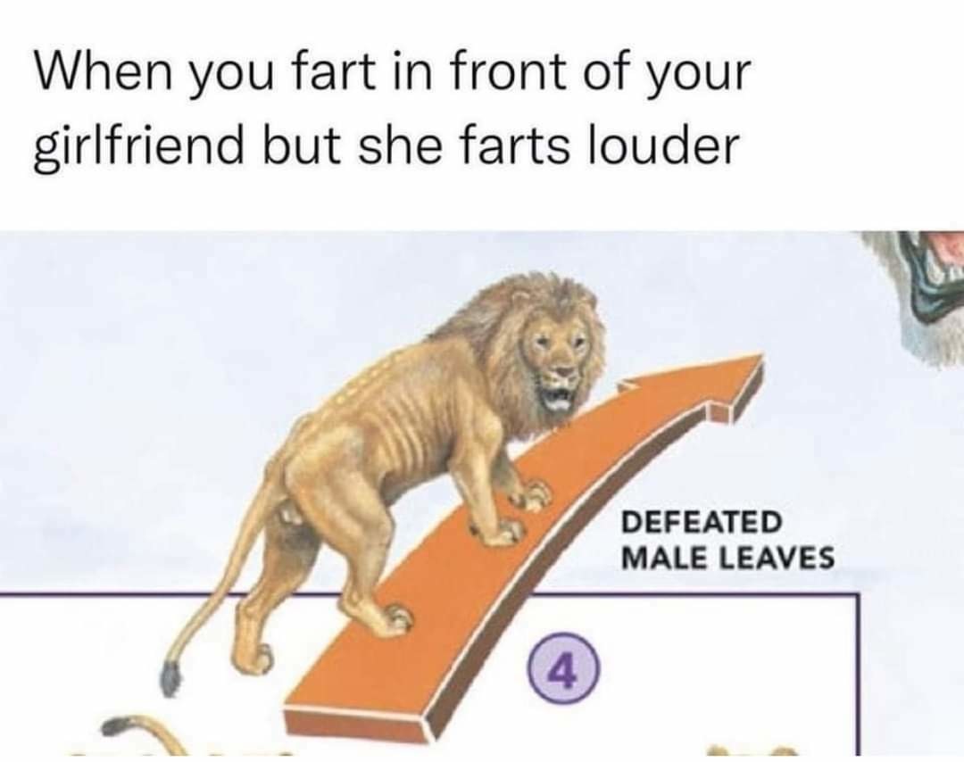 But girls don't fart - meme