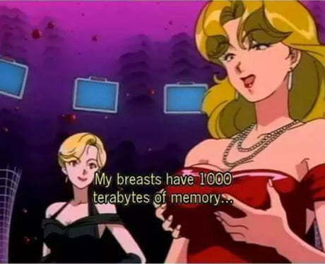 When your breasts have 1000 terabytes of memory - meme