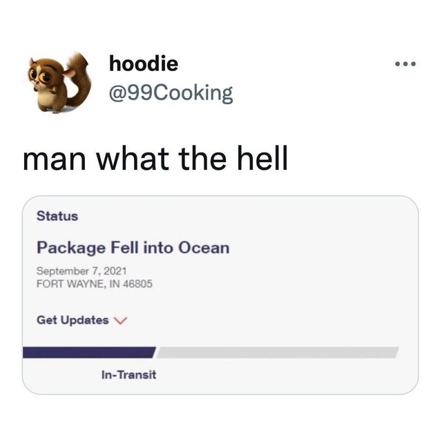 Package fell into ocean - meme