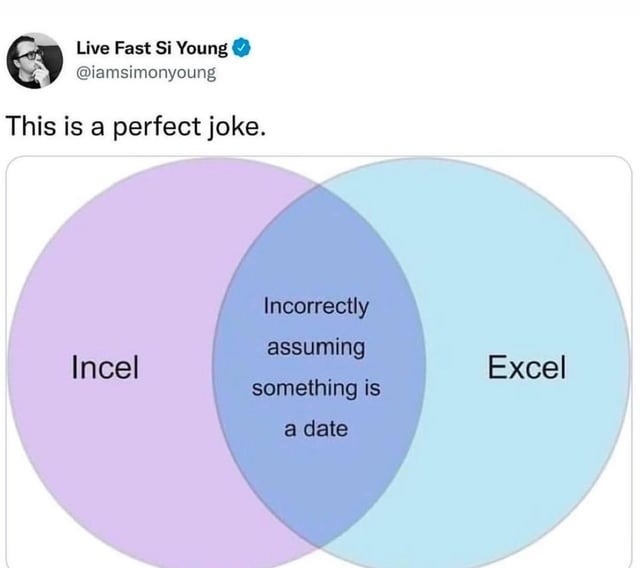 Incel and Excel - meme