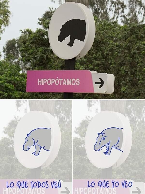 Hipoposaurio - meme