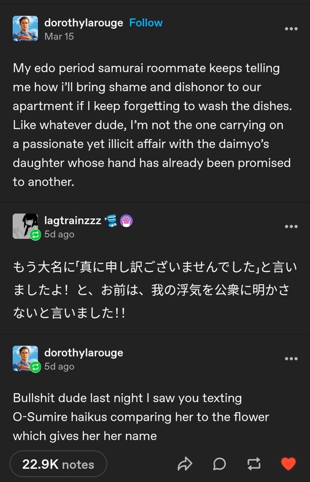 Samurai roommate thinks I dishonor the sink - meme