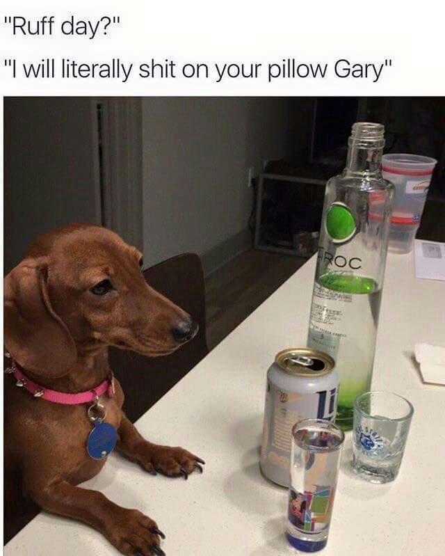 Don't fuck around right now Gary - meme