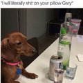Don't fuck around right now Gary
