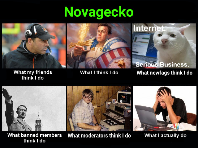 Novagecko is Lord - meme