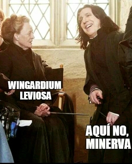 Wingardium Leviosa - meme