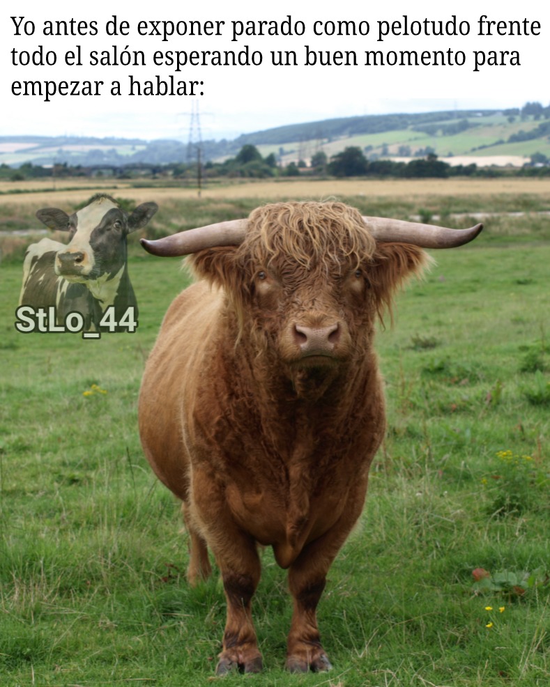 Joder amo las vacas // Bottom Text - meme