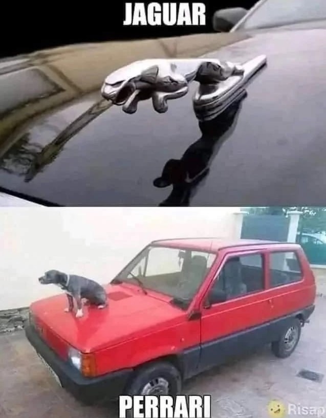 Jaguar de mi pueblo - meme